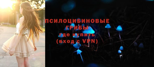спиды Алексеевка