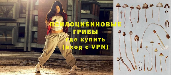 спиды Алексеевка
