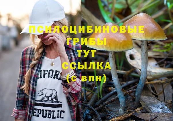 спиды Алексеевка