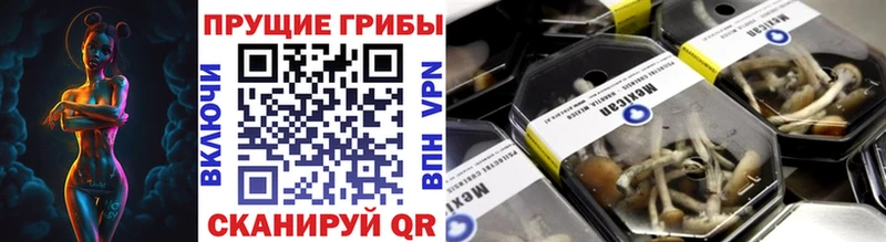 Галлюциногенные грибы мухоморы  Купить закладки  Североморск 